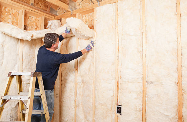 Best Radiant Barrier Insulation  in Colfax, IL