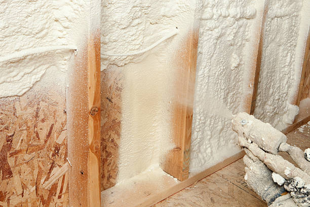 Best Spray Foam Insulation  in Colfax, IL